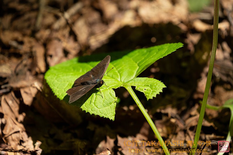 ../Images/7R250719 (37).jpg